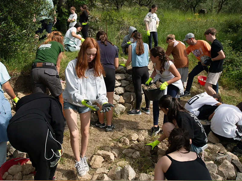 Dry Stone Wall Restoration — photo 8